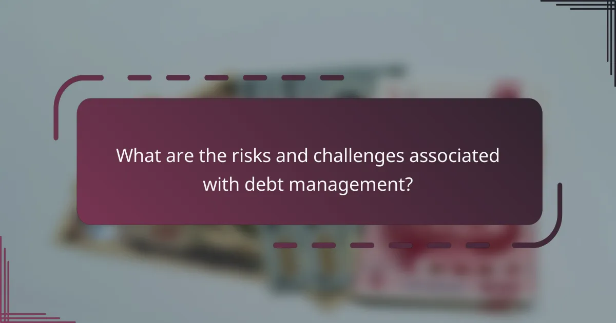 What are the risks and challenges associated with debt management?