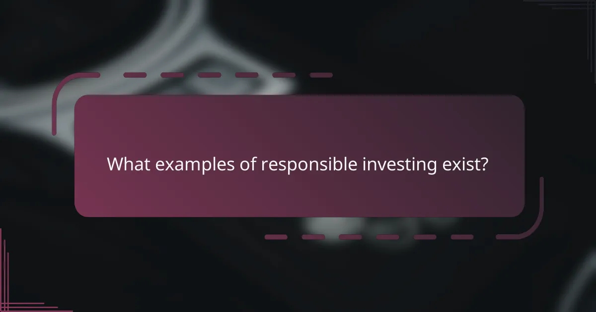 What examples of responsible investing exist?